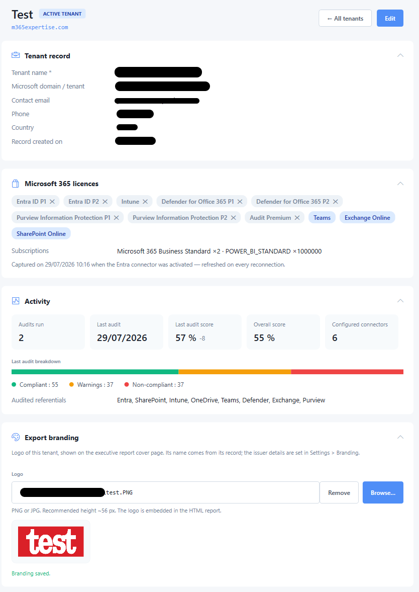 Company record showing details, activity, last audit breakdown and the detected Active Directory licences